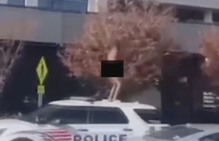 Completely Naked Man Seen Dancing While Standing Atop Moving Washington D.C. Police Cruiser